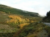 Puerto de La Ragua en otoño