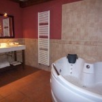 Baño con jacuzzi 